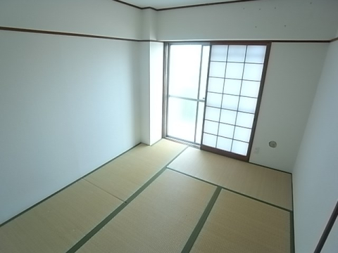 甲子園第2松並ハイツのその他写真