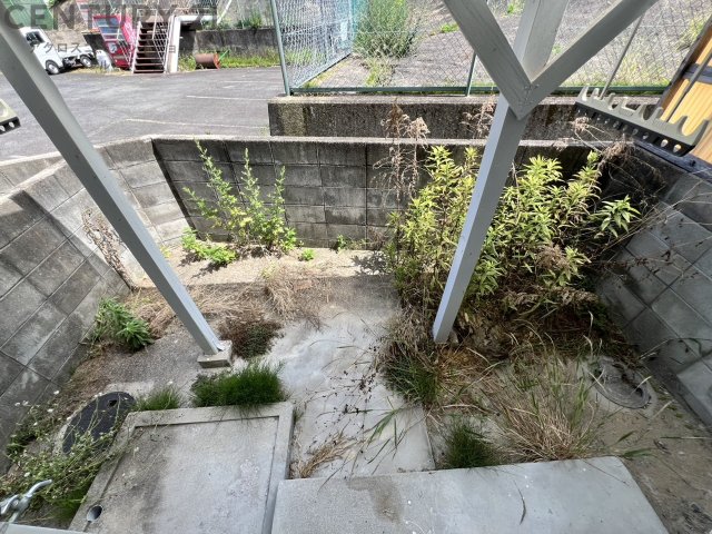 庭