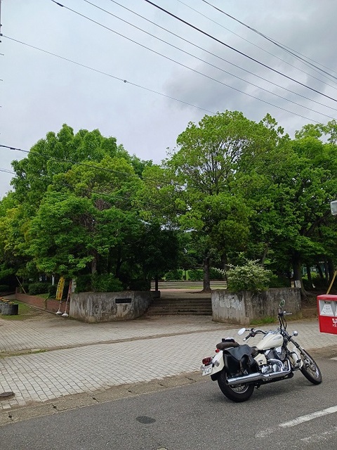 公園　柏ビレジ近隣公園（公園）まで600m