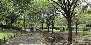 公園　上祖師谷小緑地（公園）まで880m