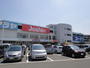 ホームセンター　ホームセンターコーナン堺三国ケ丘店（ホームセンター）まで781m