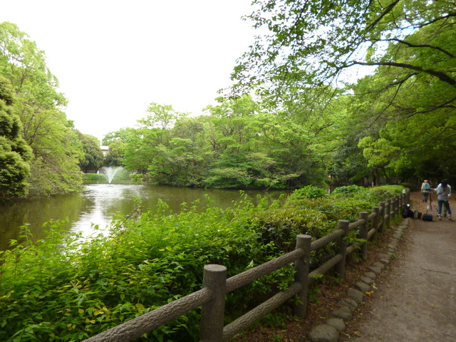 【シャンテ　ボヌールの公園】