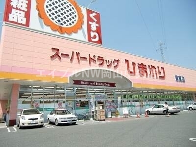 【岡山市北区辰巳のマンションのドラックストア】