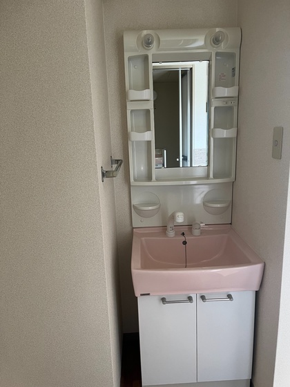 洗面設備　※他号室の写真です