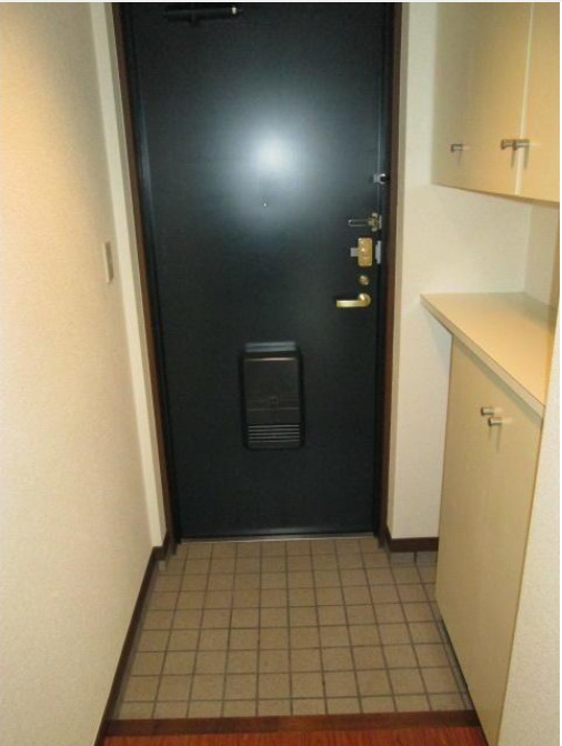 玄関　（別タイプ参考写真）コスモリード西日暮里　荒川区西日暮里1