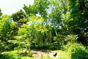 公園　岡本下山小緑地（公園）まで832m