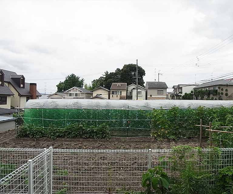 眺望　南向きの眺望