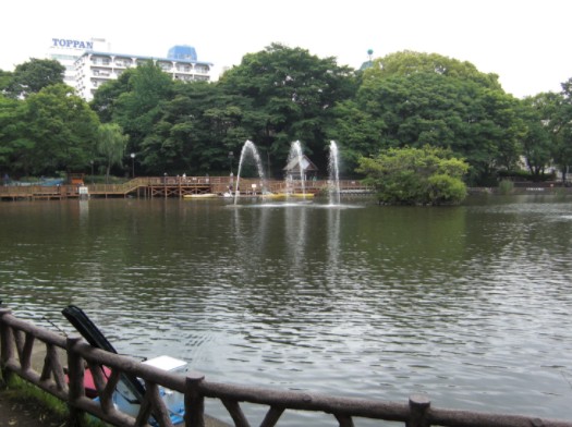 公園　見次公園（公園）まで572m