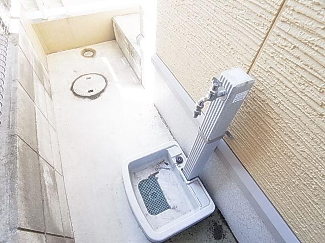 庭