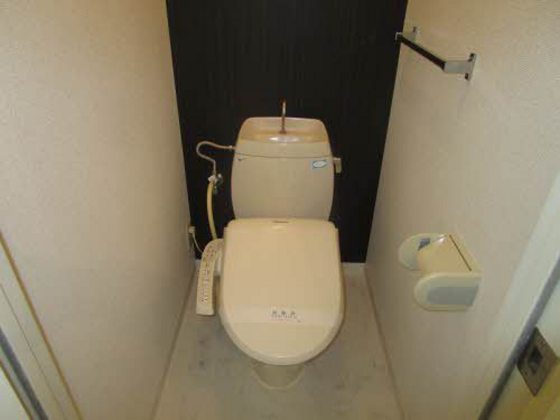 プレインコーポ A棟のトイレ写真
