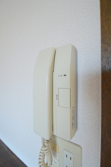 PHALEXのその他写真