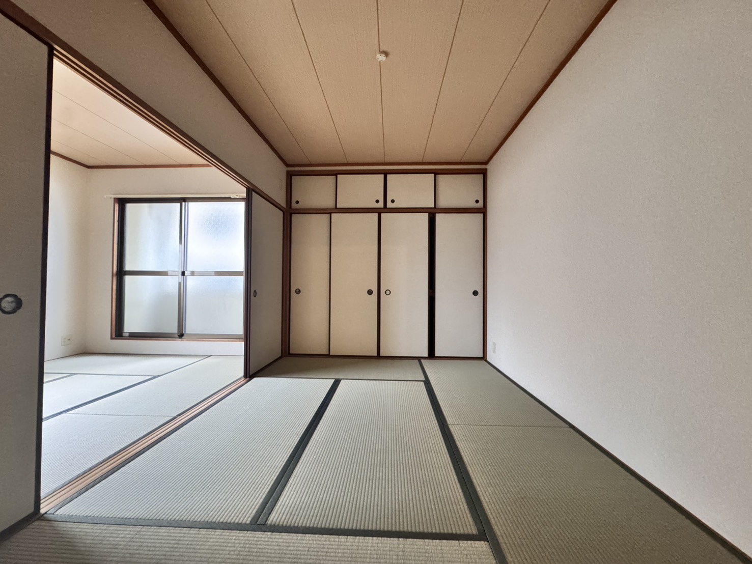新和マンションのその他写真
