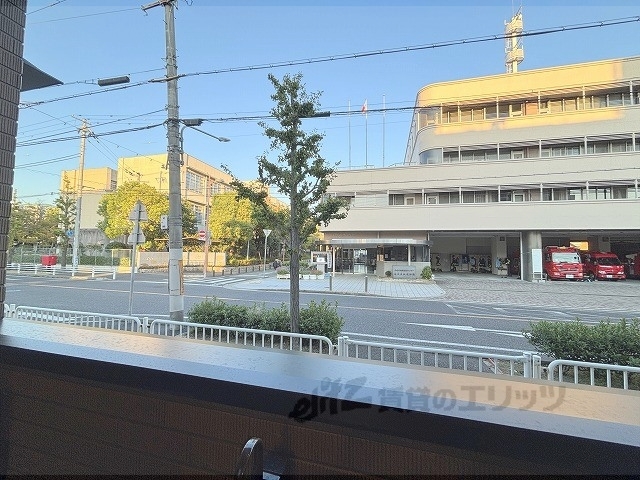アルストロメリア5のその他写真