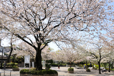 【東池袋デュープレックスリズの公園】