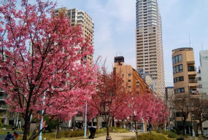 公園　中大江公園（公園）まで580m