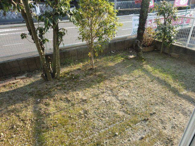 庭