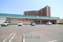 ドラックストア　ドラッグセイムス唐湊店（ドラッグストア）まで235m