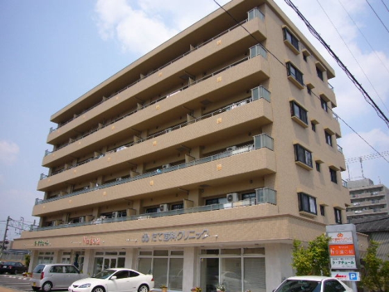 建物外観　外観（南向き）