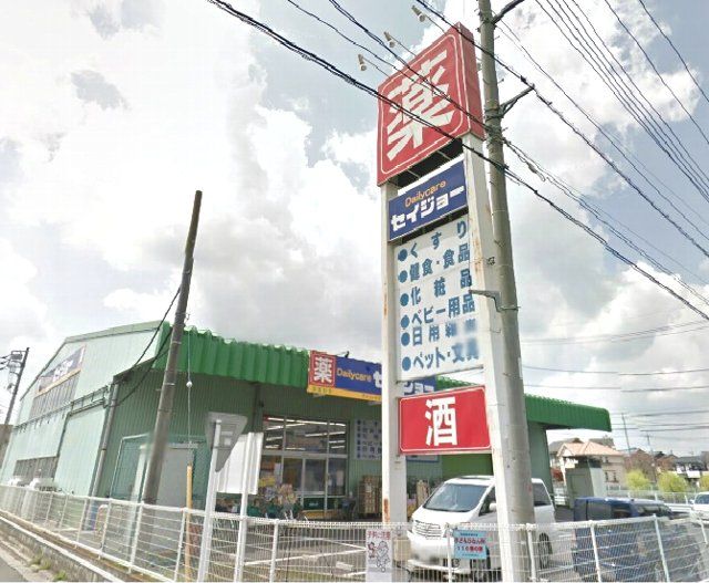 ドラックストア　デイリーケアセイジョー浦和円正寺店（ドラッグストア）まで1023m