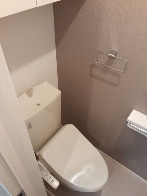 【メゾンドビュー・ラシーヌIのトイレ】