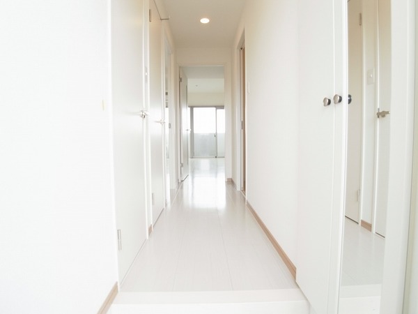 玄関　同型タイプ