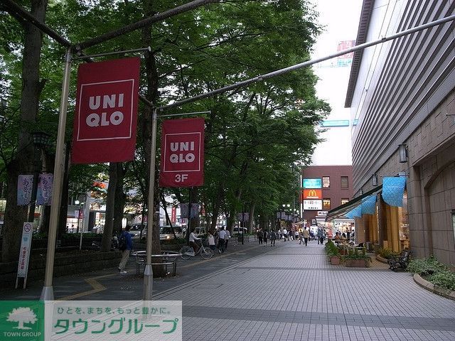 その他　並木通り（商店街）（その他）まで220m