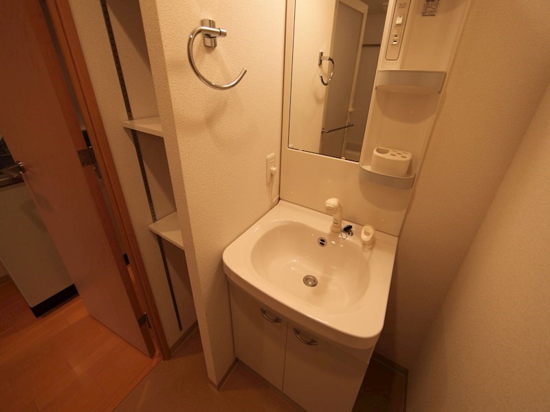 洗面設備　脱衣所　独立洗面台（シャンプードレッサー付）収納スペース有