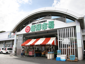 スーパー　新鮮市場宮野店（スーパー）まで1372m