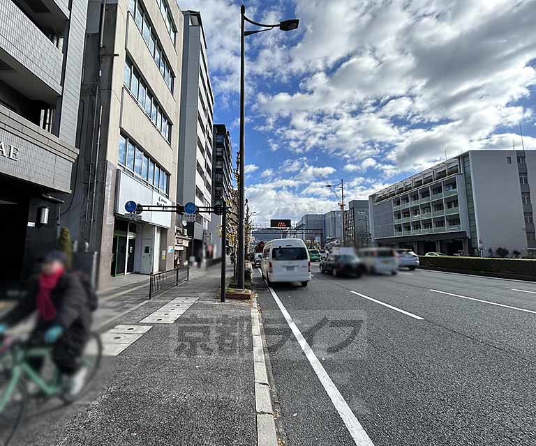 庭