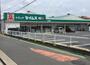 ドラックストア　ドラッグセイムス新座南店（ドラッグストア）まで435m