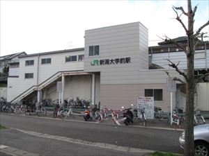 その他　ＪＲ越後線新潟大学前駅（その他）まで200m