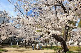 公園　高津公園（公園）まで599m