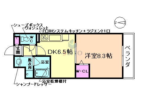 ラフィーヌフジの間取り