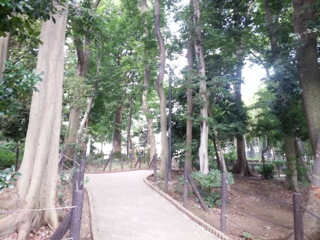 公園　すずめのお宿緑地公園（公園）まで380m