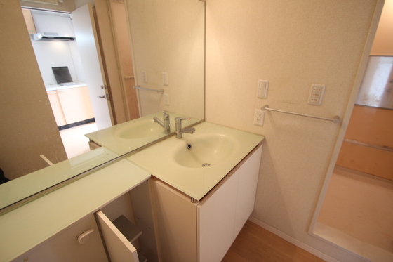 洗面設備　※他号室の写真です。