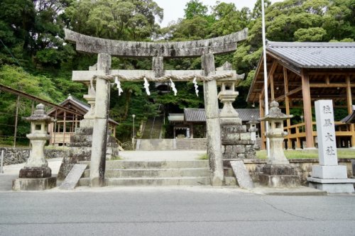 スーパー　万代　菜畑店（スーパー）まで504m