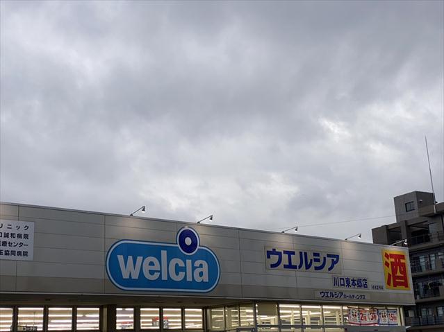 ドラックストア　ウエルシア川口東本郷店（ドラッグストア）まで1060m