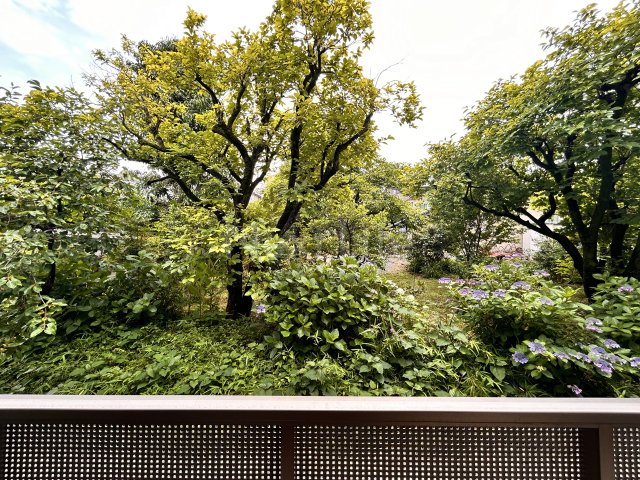 眺望　フラットパーシモ