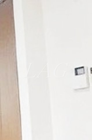 セキュリティ　モニター付きインターフォンです。