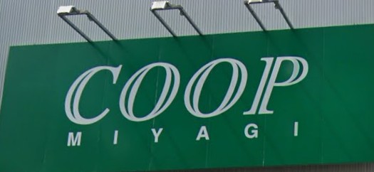 スーパー　COOP　MIYAGI柏木店（スーパー）まで346m