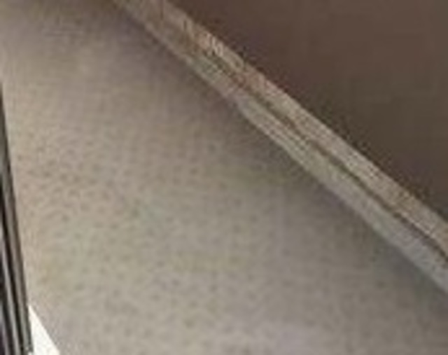 バルコニー　バルコニーあります