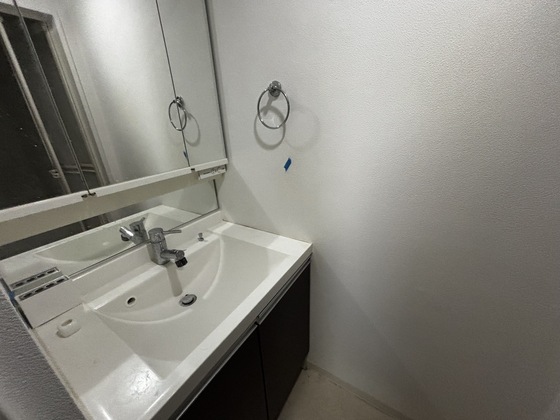洗面設備　※別部屋の写真です