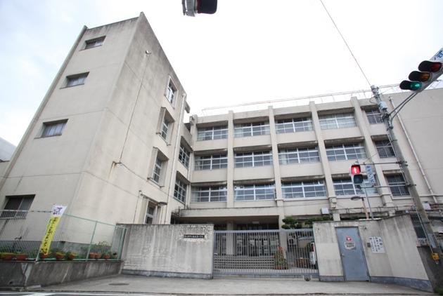 小学校　東大阪市立楠根東小学校（小学校）まで767m