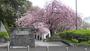公園　榴岡公園（公園）まで600m