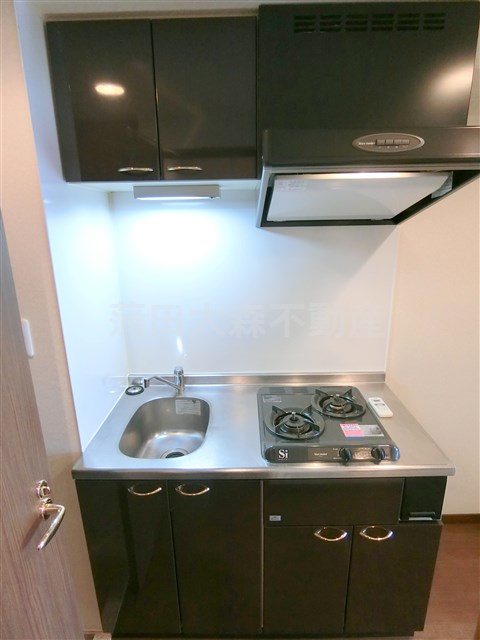 キッチン　2口ガスシステムキッチン