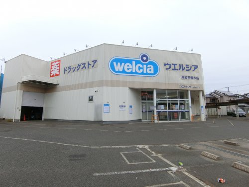 ドラックストア　ウエルシア　岸和田春木店（ドラッグストア）まで570m