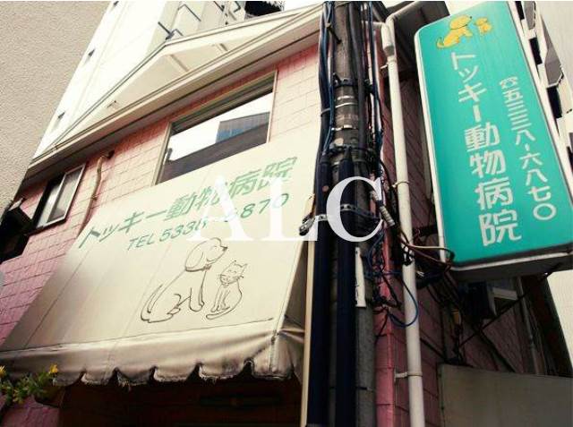 病院　トッキー動物病院（病院）まで148m