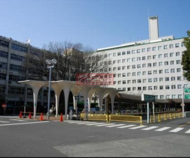 病院　日本大学医学部附属板橋病院（病院）まで438m