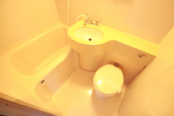 バス・シャワールーム　※別部屋の写真です