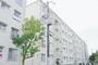 ＵＲ都市機構玉川橋団地７号棟 4階 築55年11ヶ月の賃貸物件